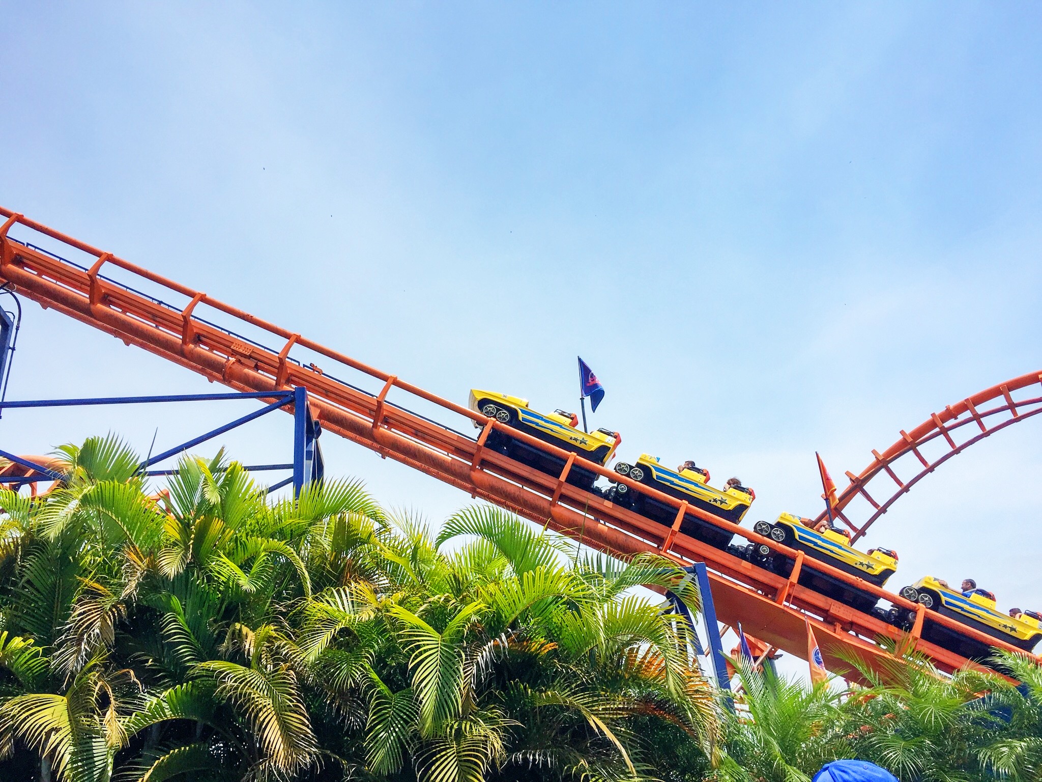 Beto Carrero World: as 7 melhores atrações do parque