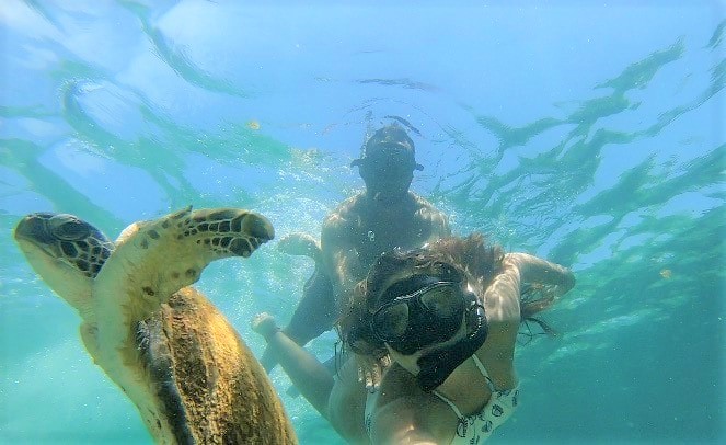 ilha-grande-mergulho-tartaruga
