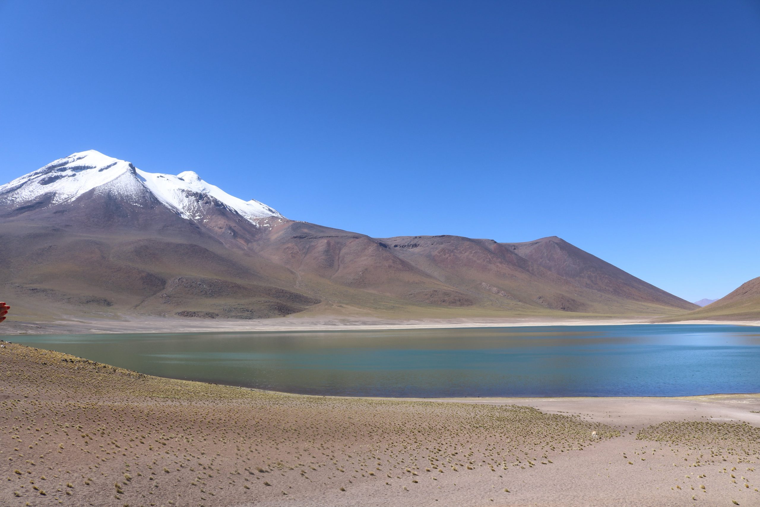 atacama-comida-barata